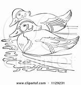 Ducks Swimming Designlooter Outlined Picsburg Clipground sketch template