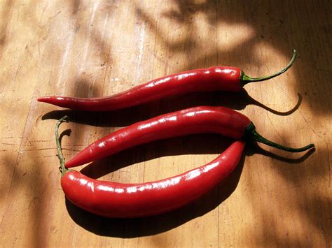 red chile cooksinfo