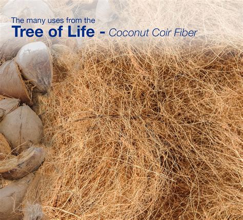 tree  life coconut coir fiber kara