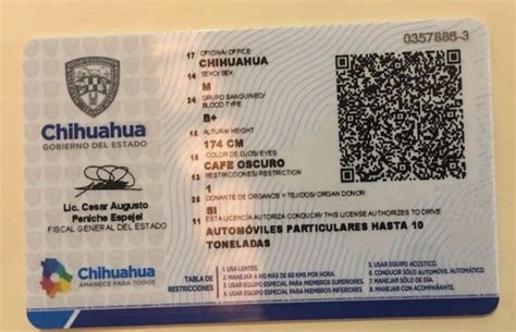 licencia de conducir en chihuahua  consulta vehicular
