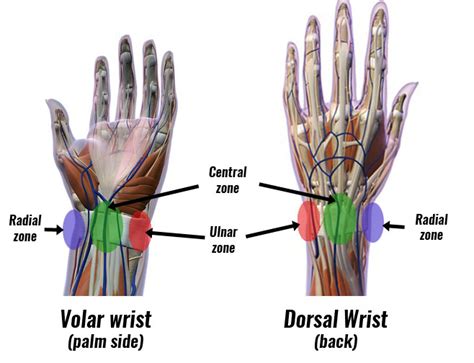 wrist pain symptoms  treatment taping exercises