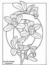 Coloring Pages Orchid Fairy Choose Board sketch template