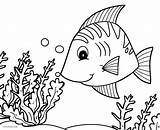 Fish Coloring Pages Printable Drawing Ocean Tropical Seafood Butterfly Kids Color Getcolorings Realistic Comely Paintingvalley sketch template