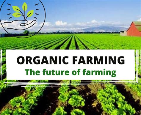organic farming  todays generation