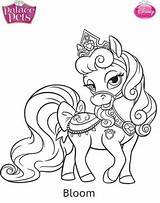Prinses Kleurplaat Paard Kleurplaten Downloaden sketch template