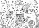 Aquarium Fishes Coloring Pages Adults Aquatic Beautiful Tree Plants Adult Fins Castle Patterns Three Animals sketch template
