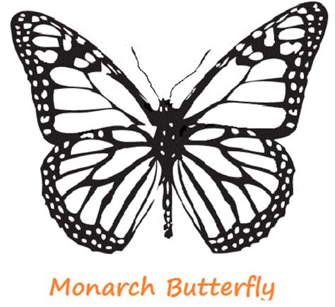 butterfly coloring pages hubpages
