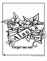 Alaska Coloring Flower State Pages Forget Bird Kids Alabama Flag Print Getcolorings Printable Jr Crafts Color Flowers York Coloringhome Popular sketch template