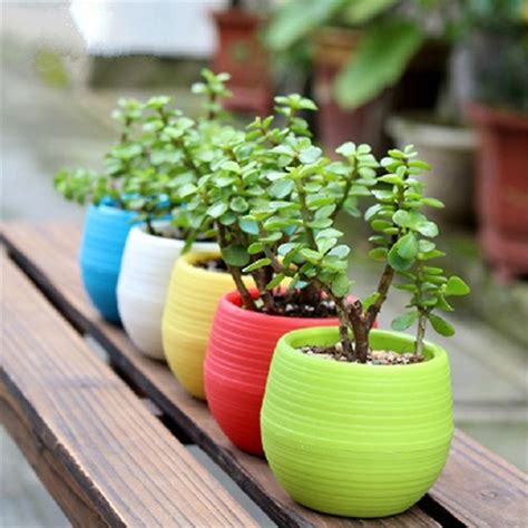 pcs colorful mini flower pots planting pot gardening plastic pots
