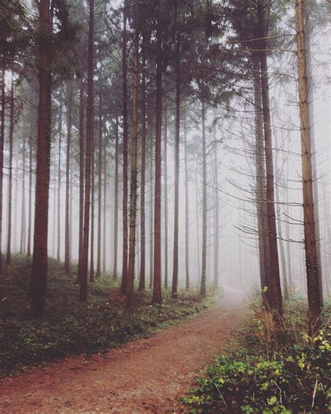 czech the count — mysterious mist from the instagram of