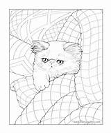 Cat Coloring Pages Persian Color Bluecat Cats Book Adult Getcolorings Print Books Printable Drawing Getdrawings sketch template