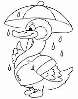 Coloring Duck Umbrella Rain Ducks Under Pages Printable Outline Holding Boy Para Clipart Supercoloring Categories Popular Books Library Pasta Escolha sketch template
