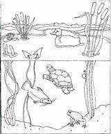 Coloring Water Pages Pollution Park Kids Conservation Drawing Getcolorings Getdrawings Printable Color sketch template