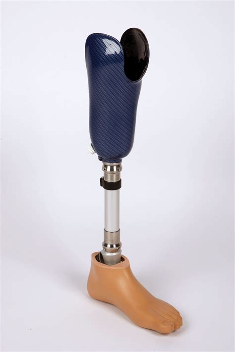 Global Lower Extremity Prostheses Market 2020 Industry Scenario
