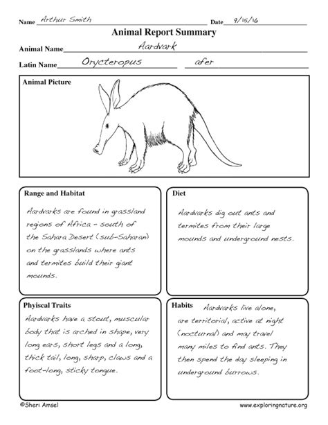 animal report summary graphic organizer