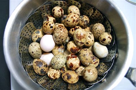 Dsc 0025 Pickled Quail Eggs Quail Recipes Quail Eggs