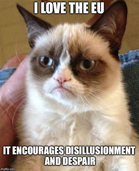 kittens  brexit funny grumpy cat memes grumpy cat humor grumpy cat quotes