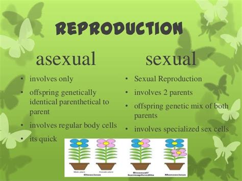 Sexual And Asexual Reproduction
