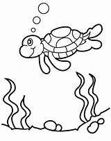 Turtle Coloring Sea Pages Printable Kids sketch template