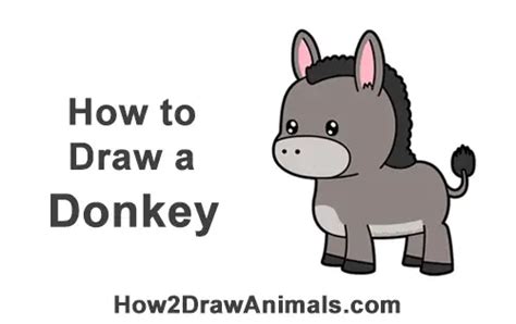 draw  donkey cartoon video step  step pictures