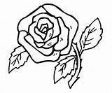 Rose Coloring Garden Pages sketch template