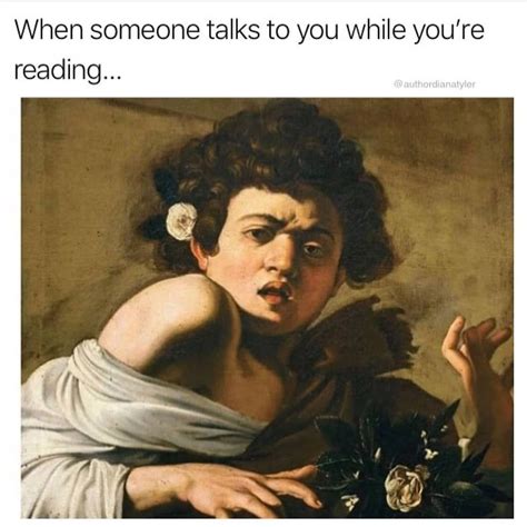 28 Funny Book Memes For People Who Love To Read
