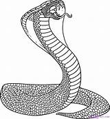 Snake Coiled Coloring Pages Getdrawings Drawing sketch template