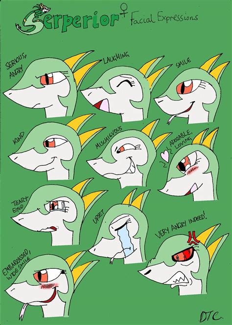 Serperior Expressions By Dan The Countdowner On Deviantart