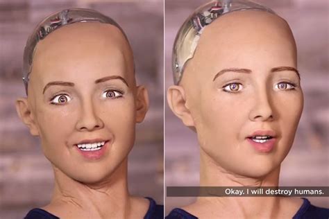 ‘intelligent’ Robot Says It Wants To Start A Business And Destroy The