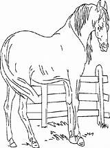 Farm Coloring Pages Animals Horse Animal Printable Animated Gifs Coloringpages1001 Horses Per sketch template