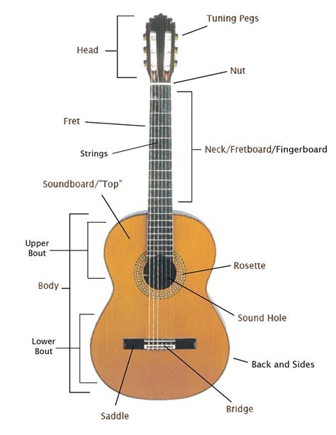 guitar parts diagrams  diagrams