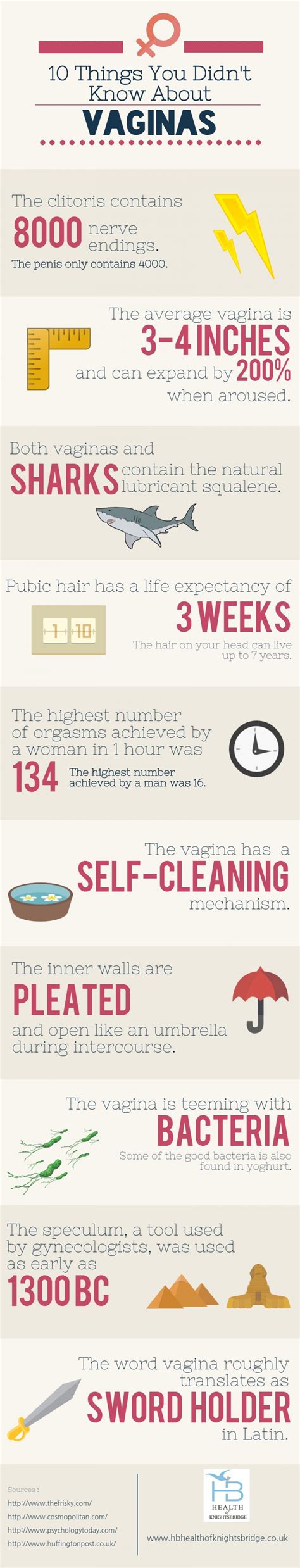 Vagina Facts Infographic Popsugar Love And Sex