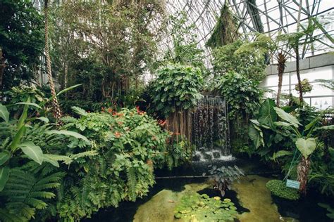 small tropical gardens tropical greenhouses   heart  winter garden vertical garden