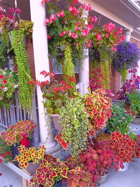 Pin By Julie B On Flower Garden Inspiration Garden Inspiration