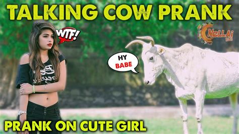 Talking Cow Prank On Cute Girl Nellai360 Youtube