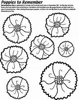 Poppy Remembrance Coloring Poppies Veterans Template Anzac Pages Remember Craft Crayola Kids Color Print Drawing Printable School Activities Au Colouring sketch template