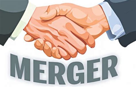 merger rationale  merger meaning acquisition  project management small