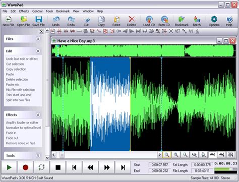 wavepad sound editor full  full program indir full