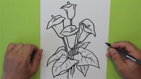 Cómo Dibujar Una Flor Cala Alcatraz Lirio De Agua How