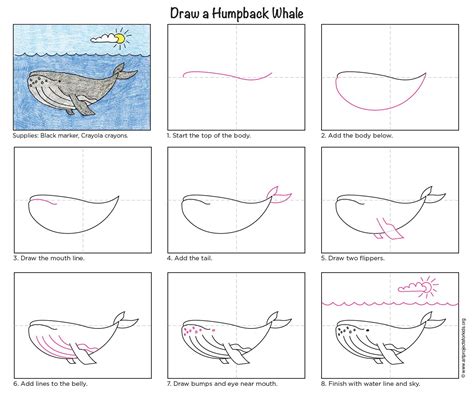 easy   draw  whale tutorial  whale coloring page art lessons