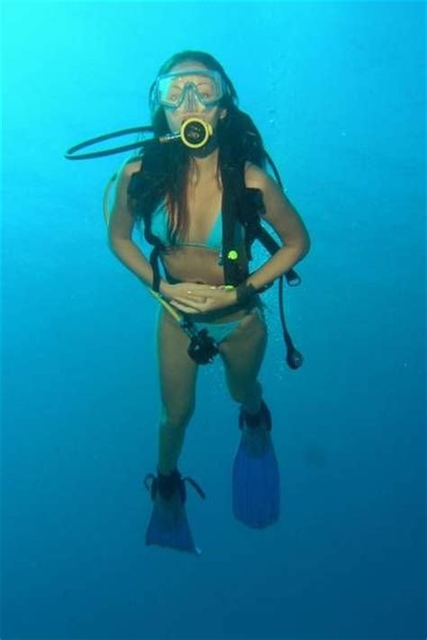 1000 Images About Scuba Diving On Pinterest Dive In