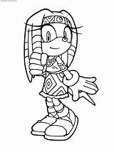 Sonic Coloring Echidna Pages Knuckles Cartoons Rivals Color Getcolorings Printable Colorin sketch template