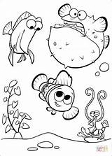 Nemo Acuario Finding Buscando sketch template
