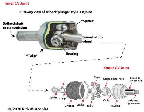diagnose  cv joint noise  vibration ricks  auto repair advice ricks  auto repair
