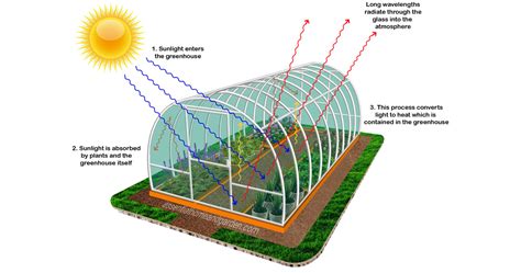greenhouse work essential home  garden