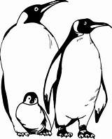 Penguin Coloring Pages Emperor Printable Penguins Cartoon Clipart Family Baby Kids Color Colouring Cliparts Happy Feet Print Animal Getcolorings Getdrawings sketch template