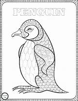 Emperor Penguin Coloring Getdrawings sketch template