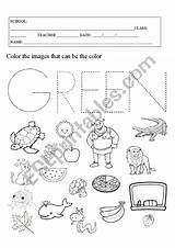 Coloring Green Worksheet Preview sketch template