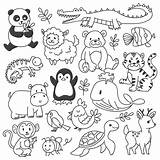 Doodle Animals Isolated Set Vector Premium Doodles Animal Coloring Freepik Cute Pages Line Baby Cartoon Kids Outline Tier Choose Board sketch template