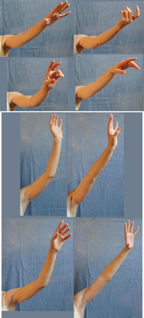 arm reference photo arm reference deviantart anatomy artists hand human poses man drawing pose